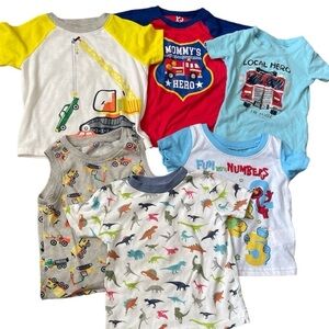 Toddler Boys lot bundle
